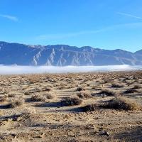 Anza borrego desert