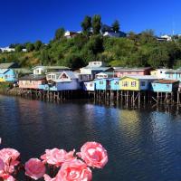 Chiloe