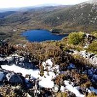 Cradle mountain