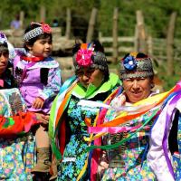 Les mapuche