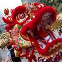 Lion dance