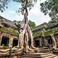 Ta prohm angkor