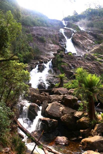 Columba falls2