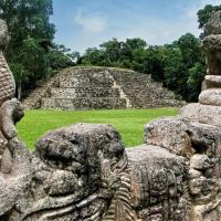 Copan 1