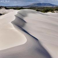 Dunes de sables blanc de lancelin