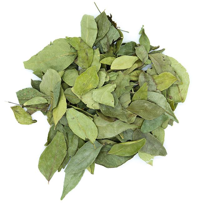 Feuilles de curry kaloupile
