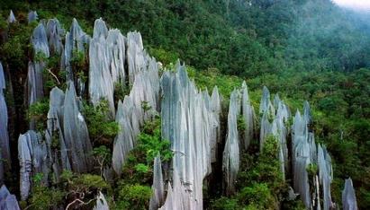 Gungug mulu national park