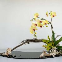 Ikebana