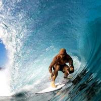 Iles mentawai