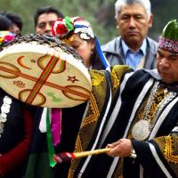 Indiens mapuche