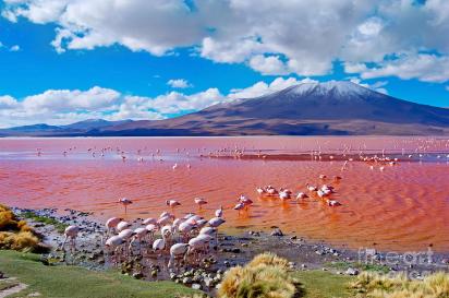 Laguna verde 1