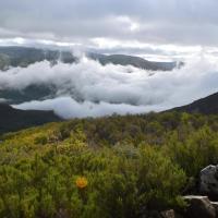 Le col de tornavacas