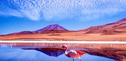 Le desert d atacama