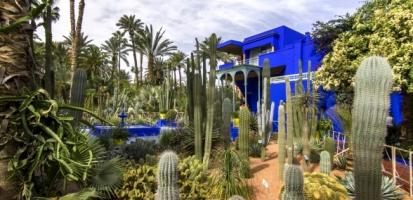 Le jardin de majorelle