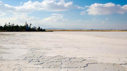 Le lac sale de larnaka