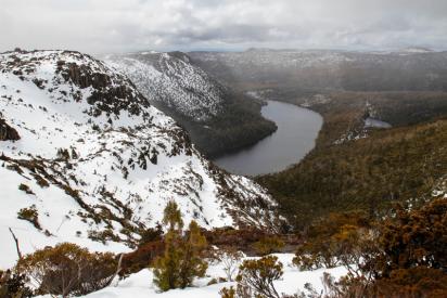 Mount field national park