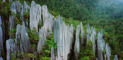 Parc national gunung mulu