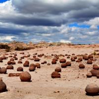 Parcs nationaux ischigualasto