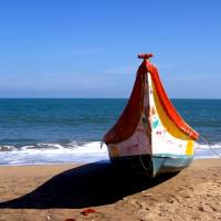 Plage d auroville