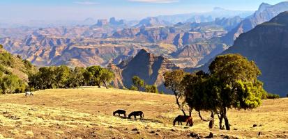 Plateaux su simien