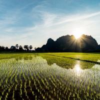 Region de hpa an2