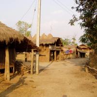 Sauraha