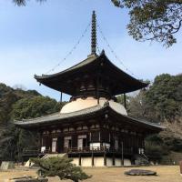 Temples negoro dera