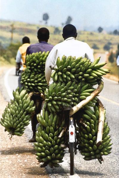 Vendeurs de bananes